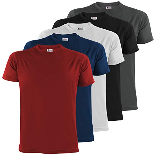 ALPIDEX T-Shirt Magliette da Uomo Confezione da 5 con Girocollo - Taglie S M L XL XXL 3XL 4XL 5XL, Taglia:XL, Colore:Fire